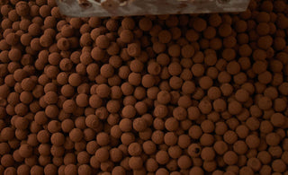 The Luxurious World of Posh Chocolates: Discover Prestat’s Exquisite Collection