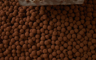 The Luxurious World of Posh Chocolates: Discover Prestat’s Exquisite Collection