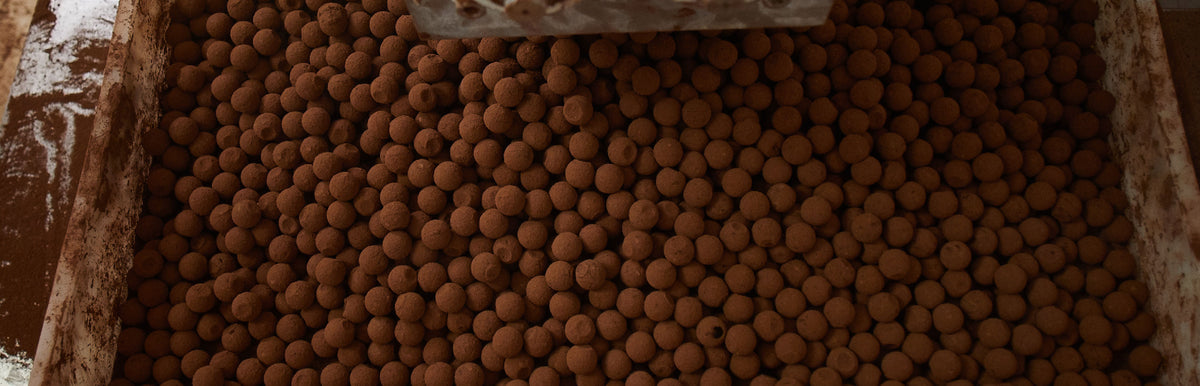 The Luxurious World of Posh Chocolates: Discover Prestat’s Exquisite Collection