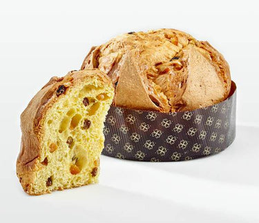 italian sourdough panettone with rasins and orange pieces 