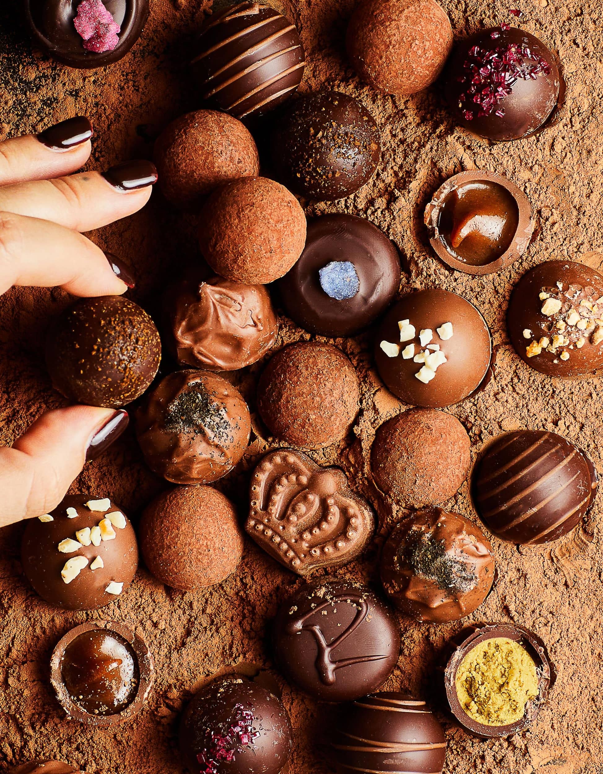 Assorted chocolate truffles.