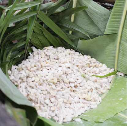 Fermented soybeans in banana leaves.